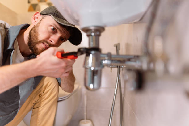 Best Clogged Drain Plumber  in Oregon, OH